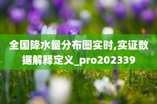 全国降水量分布图实时,实证数据解释定义_pro202339