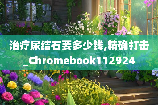 治疗尿结石要多少钱,精确打击_Chromebook112924