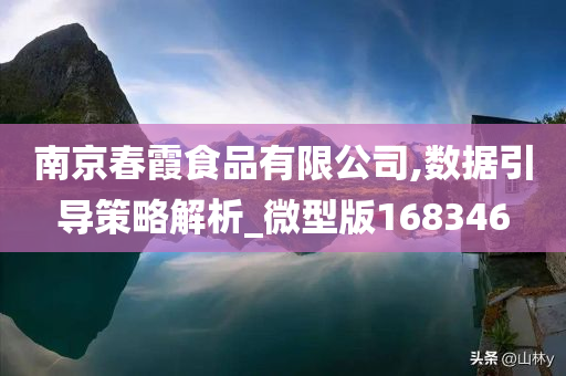 南京春霞食品有限公司,数据引导策略解析_微型版168346