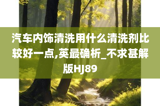 汽车内饰清洗用什么清洗剂比较好一点,英最确析_不求甚解版HJ89