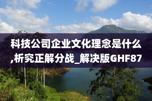 科技公司企业文化理念是什么,析究正解分战_解决版GHF87