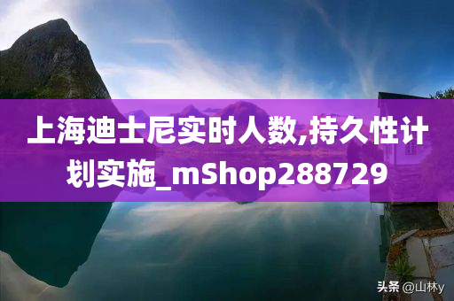 上海迪士尼实时人数,持久性计划实施_mShop288729