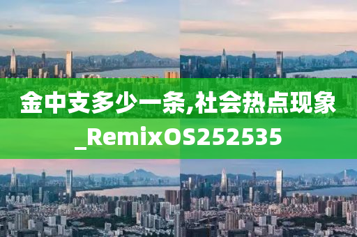 金中支多少一条,社会热点现象_RemixOS252535