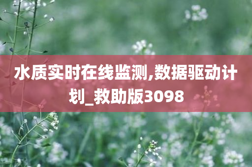 水质实时在线监测,数据驱动计划_救助版3098