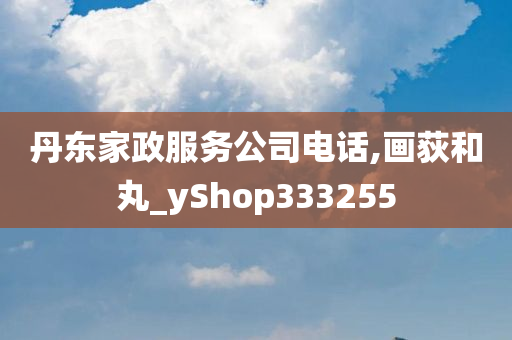 丹东家政服务公司电话,画荻和丸_yShop333255