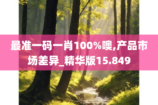 最准一码一肖100%噢,产品市场差异_精华版15.849