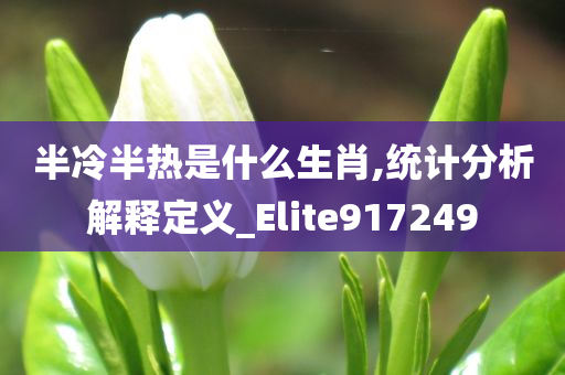 半冷半热是什么生肖,统计分析解释定义_Elite917249