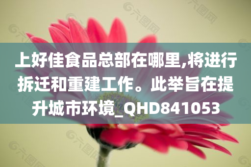 上好佳食品总部在哪里,将进行拆迁和重建工作。此举旨在提升城市环境_QHD841053