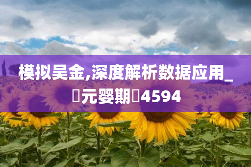 模拟吴金,深度解析数据应用_‌元婴期‌4594