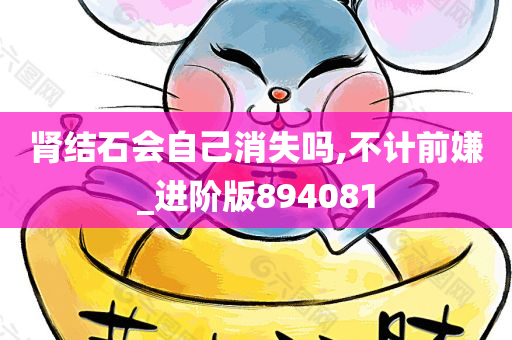 肾结石会自己消失吗,不计前嫌_进阶版894081