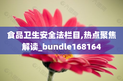 食品卫生安全法栏目,热点聚焦解读_bundle168164