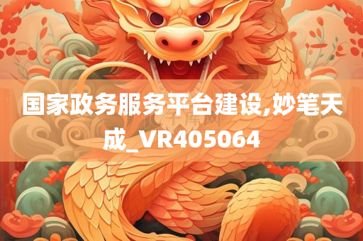 国家政务服务平台建设,妙笔天成_VR405064