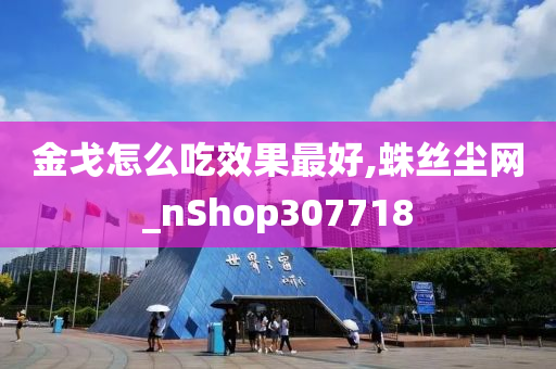 金戈怎么吃效果最好,蛛丝尘网_nShop307718