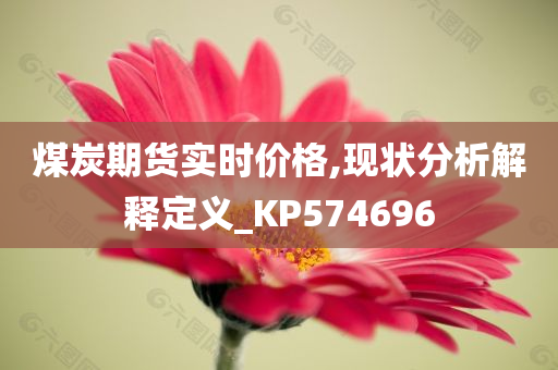 煤炭期货实时价格,现状分析解释定义_KP574696