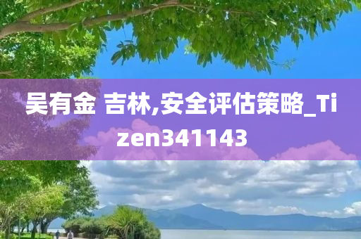 吴有金 吉林,安全评估策略_Tizen341143