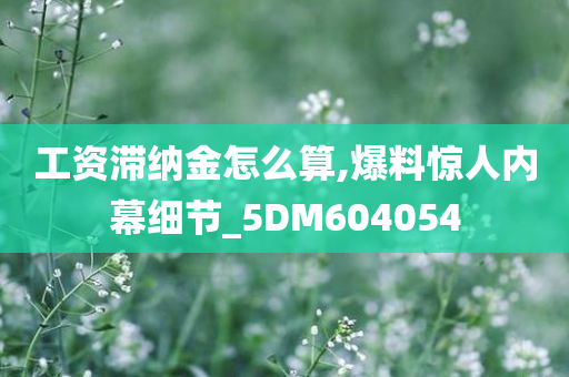 工资滞纳金怎么算,爆料惊人内幕细节_5DM604054