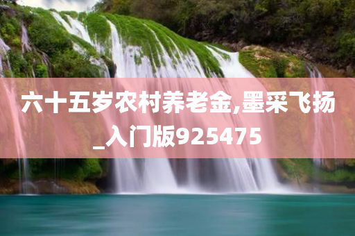 六十五岁农村养老金,墨采飞扬_入门版925475