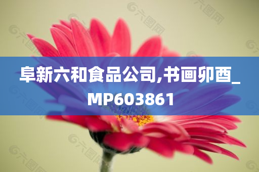 阜新六和食品公司,书画卯酉_MP603861