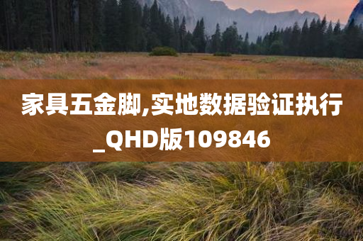 家具五金脚,实地数据验证执行_QHD版109846