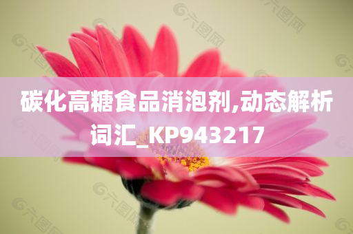 碳化高糖食品消泡剂,动态解析词汇_KP943217