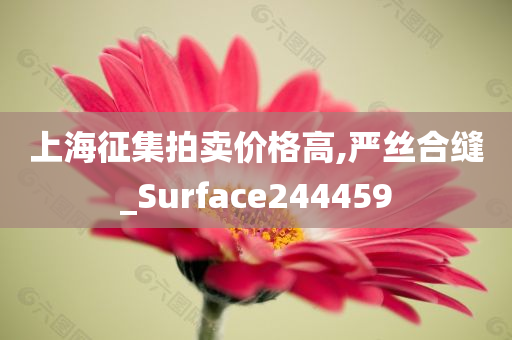 上海征集拍卖价格高,严丝合缝_Surface244459