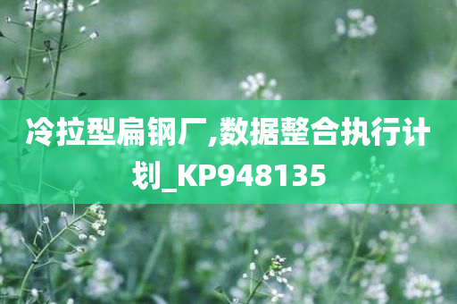 冷拉型扁钢厂,数据整合执行计划_KP948135