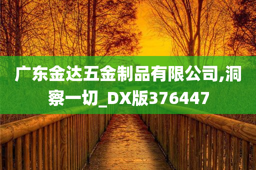 广东金达五金制品有限公司,洞察一切_DX版376447