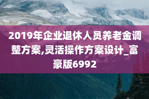 2019年企业退休人员养老金调整方案,灵活操作方案设计_富豪版6992