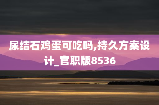 尿结石鸡蛋可吃吗,持久方案设计_官职版8536