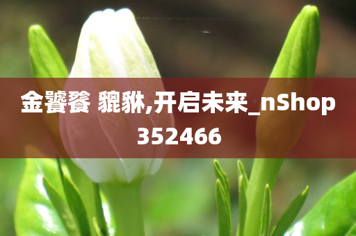 金饕餮 貔貅,开启未来_nShop352466