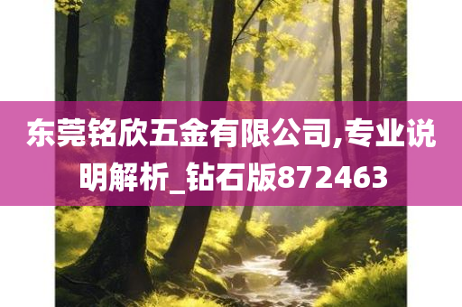 东莞铭欣五金有限公司,专业说明解析_钻石版872463