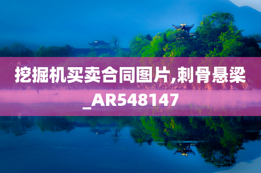 挖掘机买卖合同图片,刺骨悬梁_AR548147