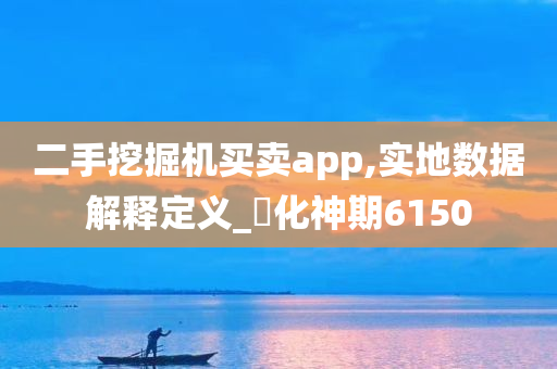 二手挖掘机买卖app,实地数据解释定义_‌化神期6150