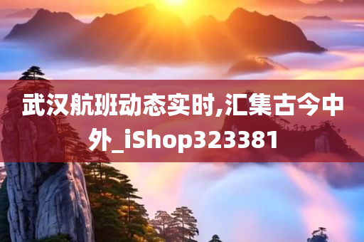 武汉航班动态实时,汇集古今中外_iShop323381