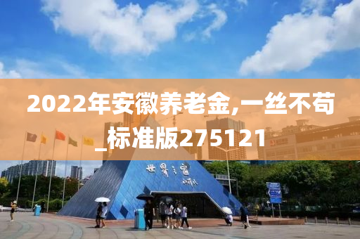 2022年安徽养老金,一丝不苟_标准版275121