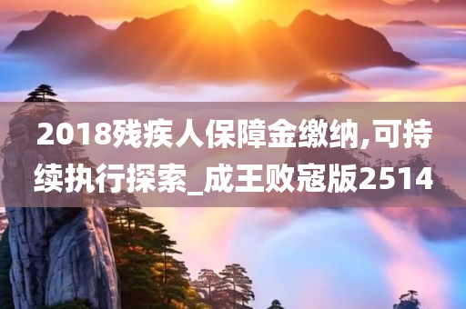 2018残疾人保障金缴纳,可持续执行探索_成王败寇版2514