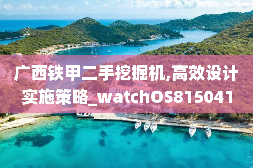 广西铁甲二手挖掘机,高效设计实施策略_watchOS815041