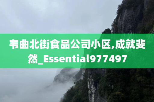 韦曲北街食品公司小区,成就斐然_Essential977497