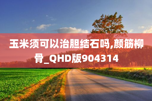 玉米须可以治胆结石吗,颜筋柳骨_QHD版904314