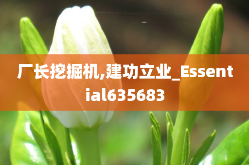 厂长挖掘机,建功立业_Essential635683