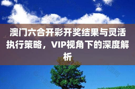 澳门六合开彩开奖结果与灵活执行策略，VIP视角下的深度解析