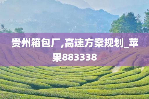 贵州箱包厂,高速方案规划_苹果883338