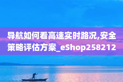 导航如何看高速实时路况,安全策略评估方案_eShop258212