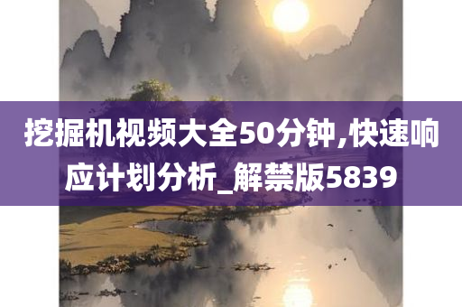 挖掘机视频大全50分钟,快速响应计划分析_解禁版5839