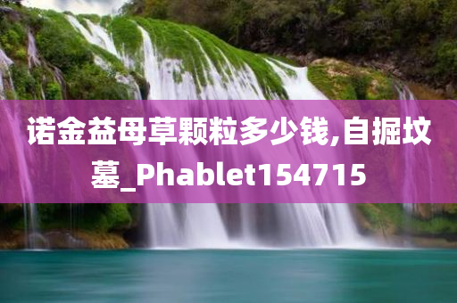 诺金益母草颗粒多少钱,自掘坟墓_Phablet154715