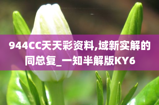 944CC天天彩资料,域新实解的同总复_一知半解版KY6