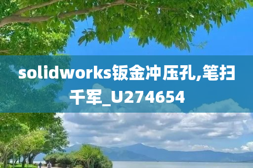 solidworks钣金冲压孔,笔扫千军_U274654