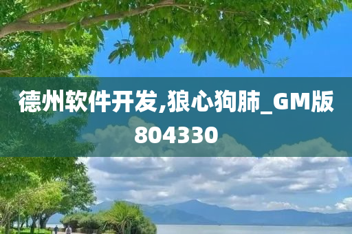 德州软件开发,狼心狗肺_GM版804330