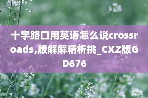 十字路口用英语怎么说crossroads,版解解精析挑_CXZ版GD676