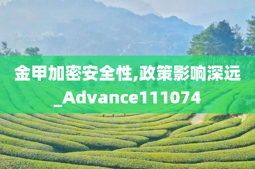 金甲加密安全性,政策影响深远_Advance111074